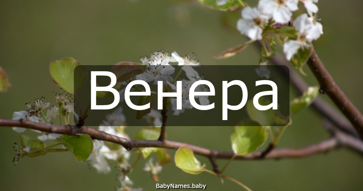Венера
