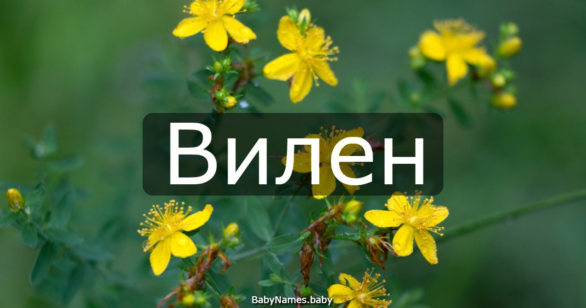 Вилен