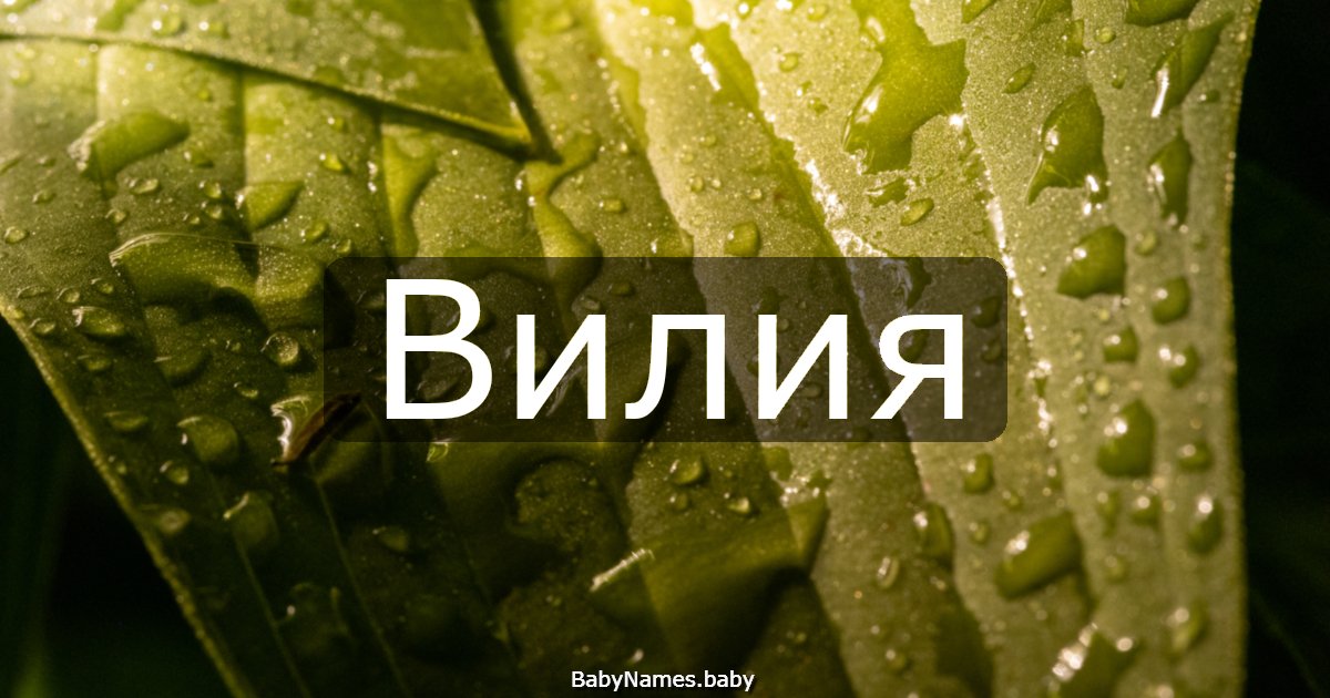 Вилия