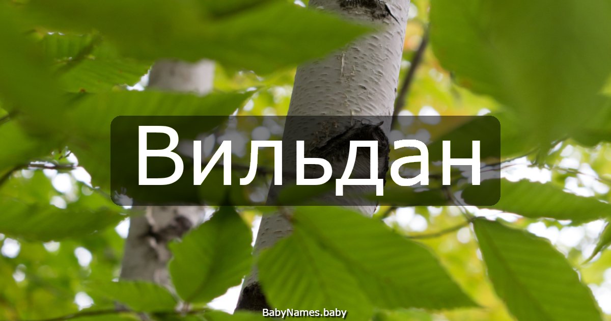 Вильдан