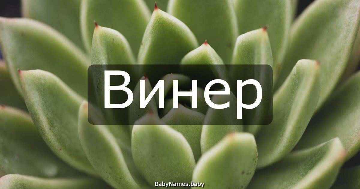 Винер