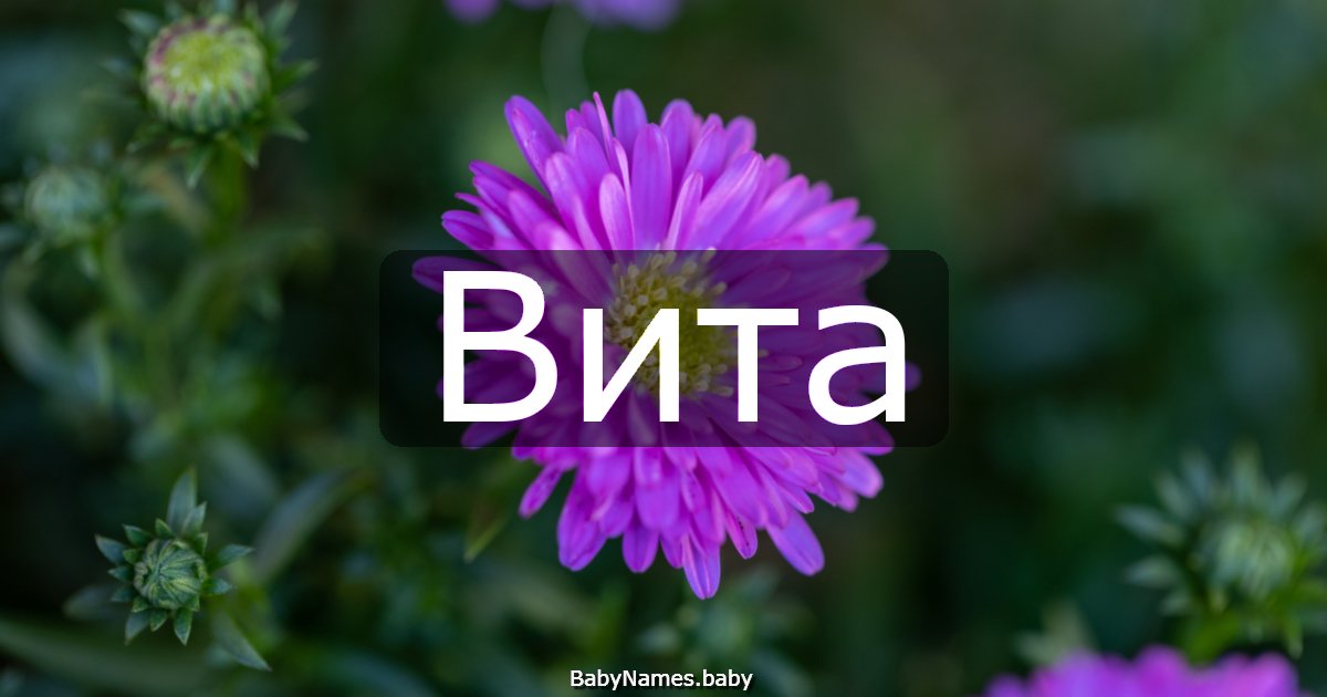 Вита