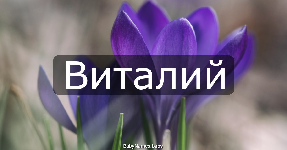 Виталий