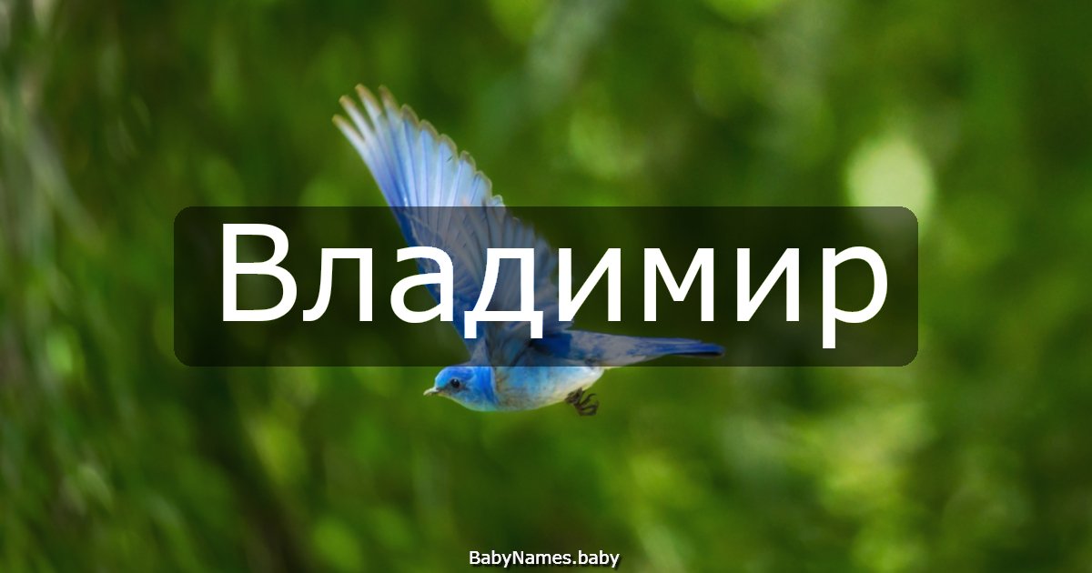 Владимир