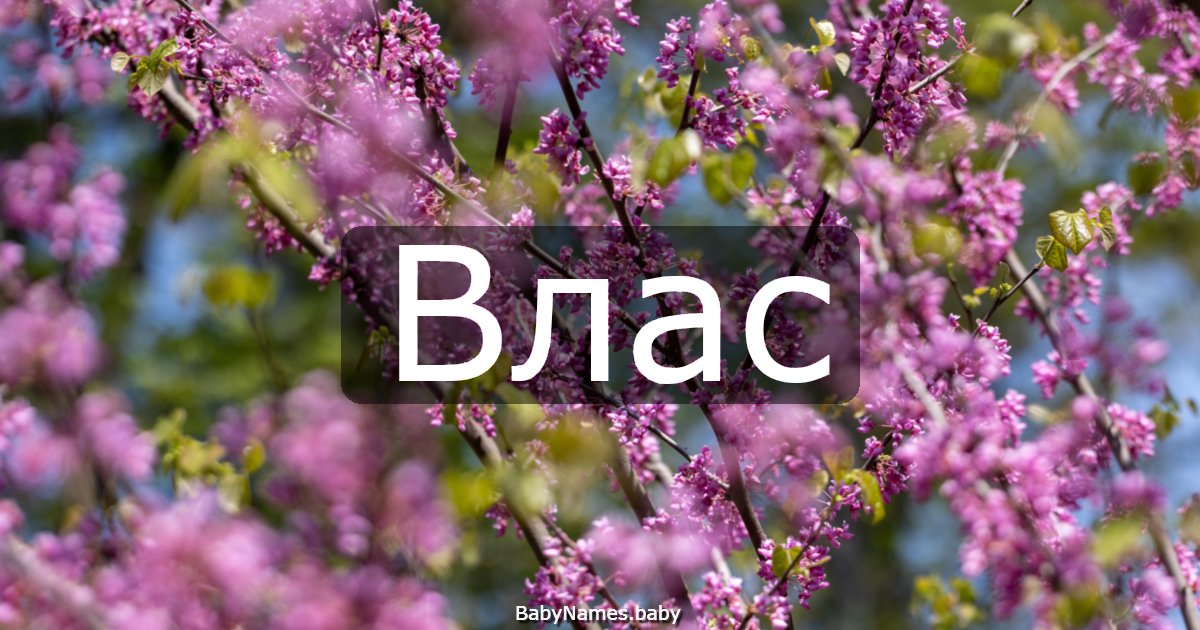 Влас