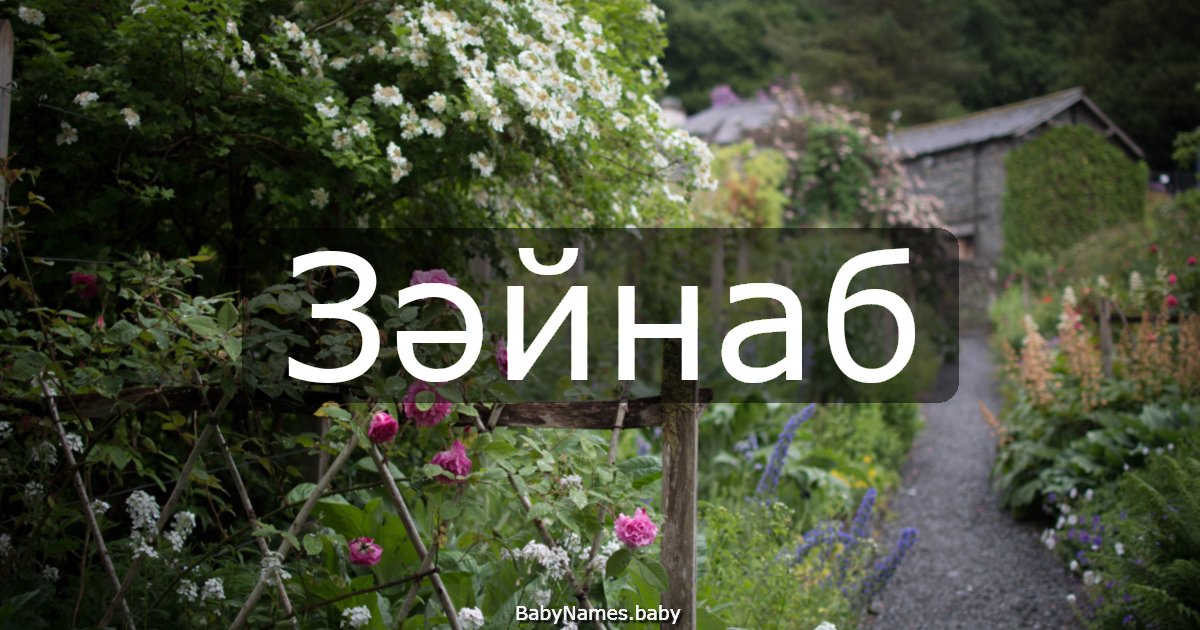 Зәйнаб