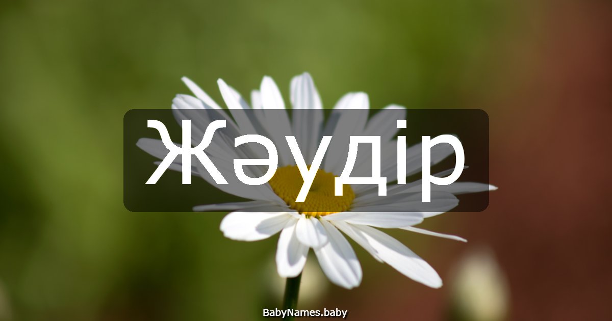Жәудір