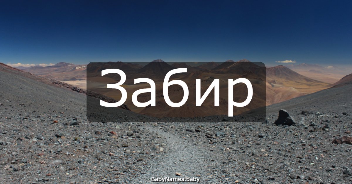 Забир