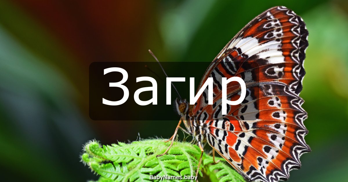 Загир