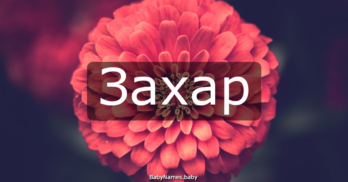 Захар
