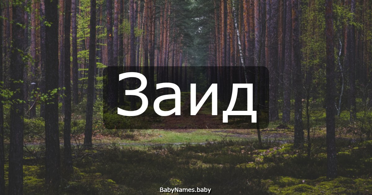 Заид