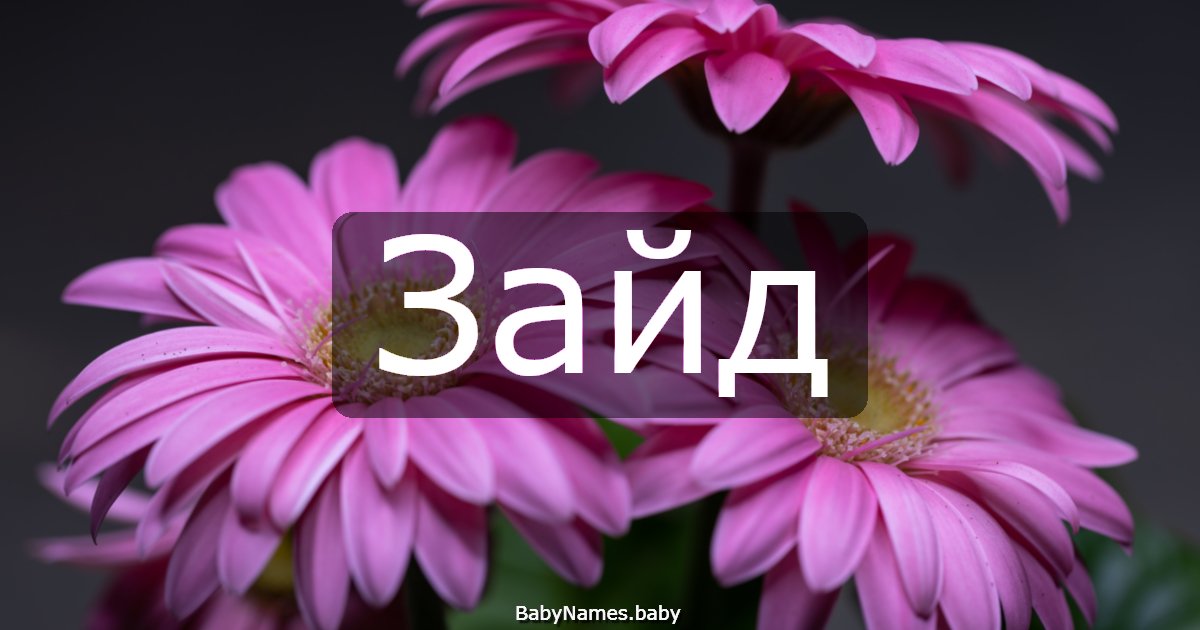 Зайд