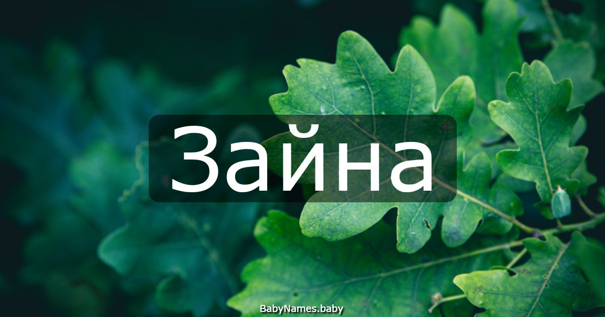Зайна