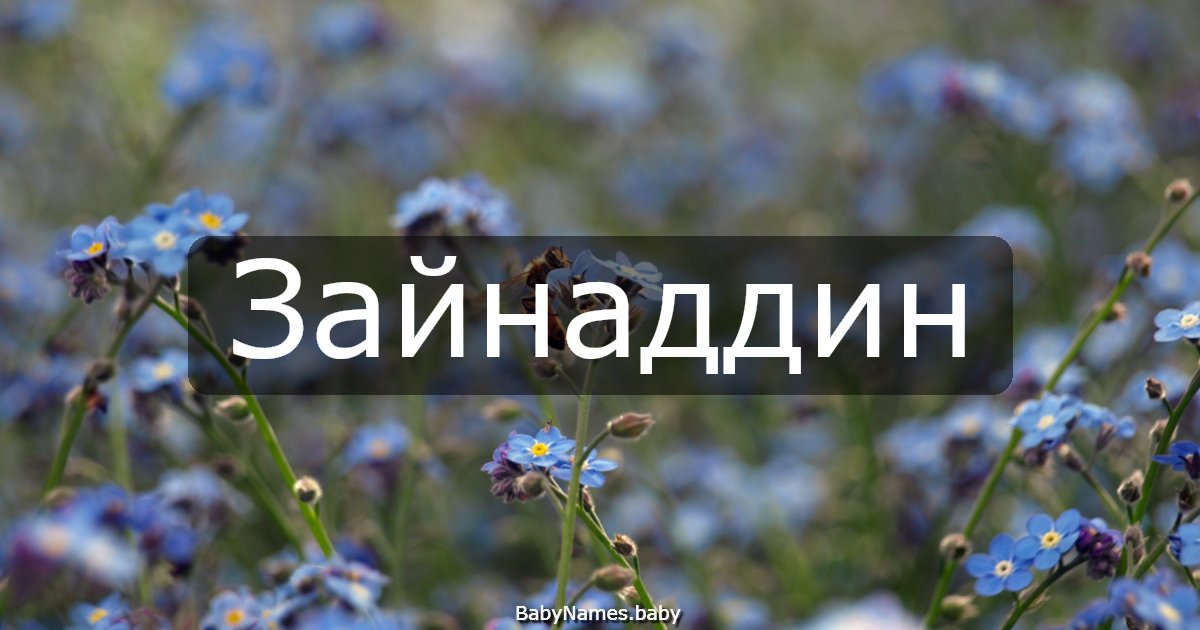 Зайнаддин