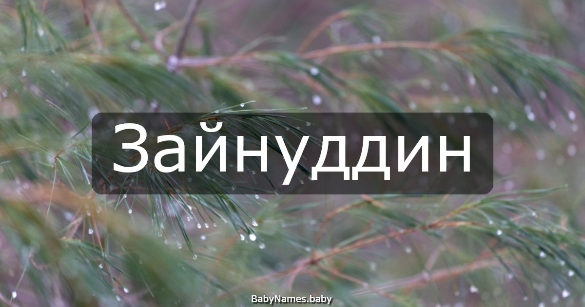 Зайнуддин
