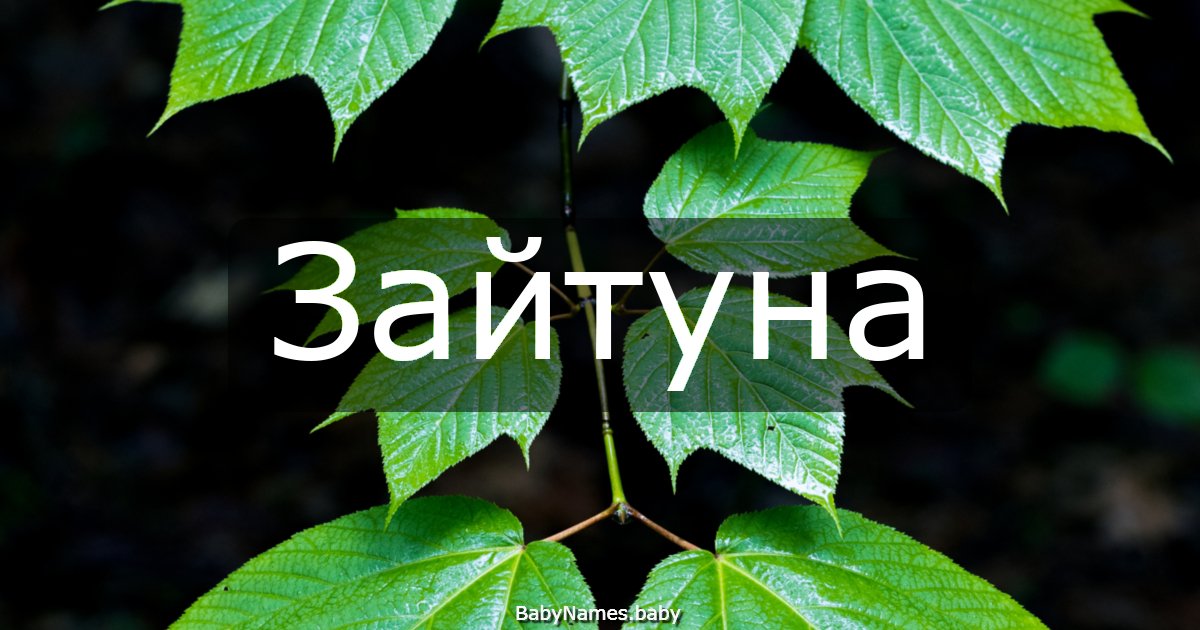 Зайтуна