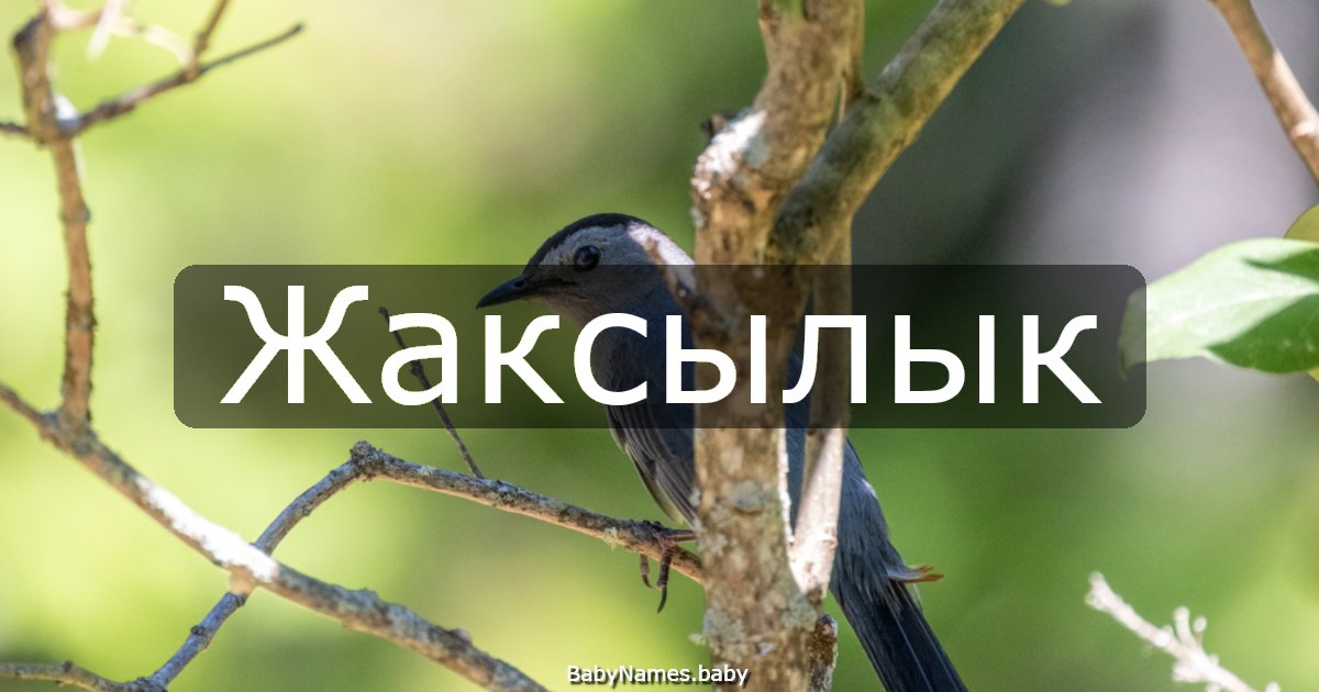 Жаксылык