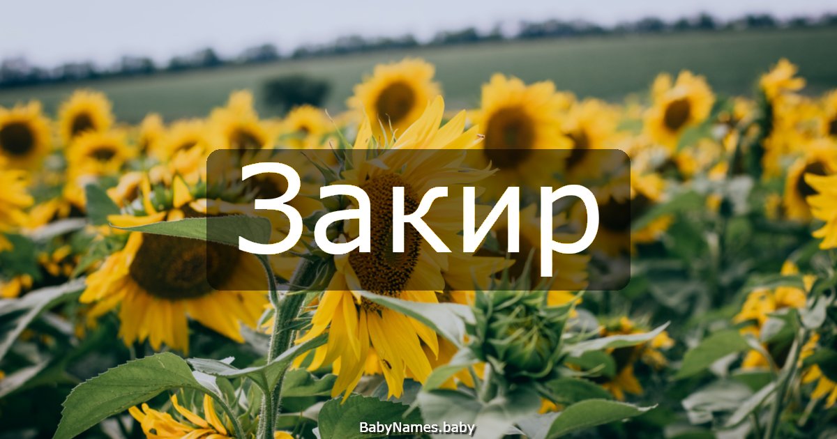 Закир