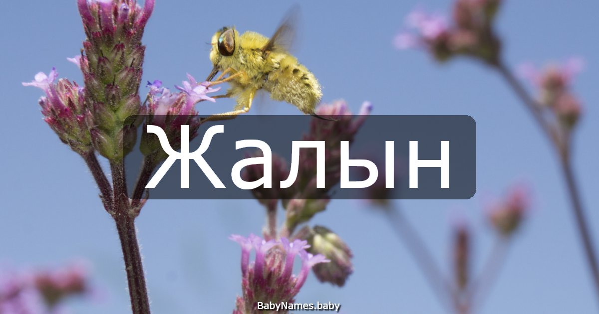 Жалын