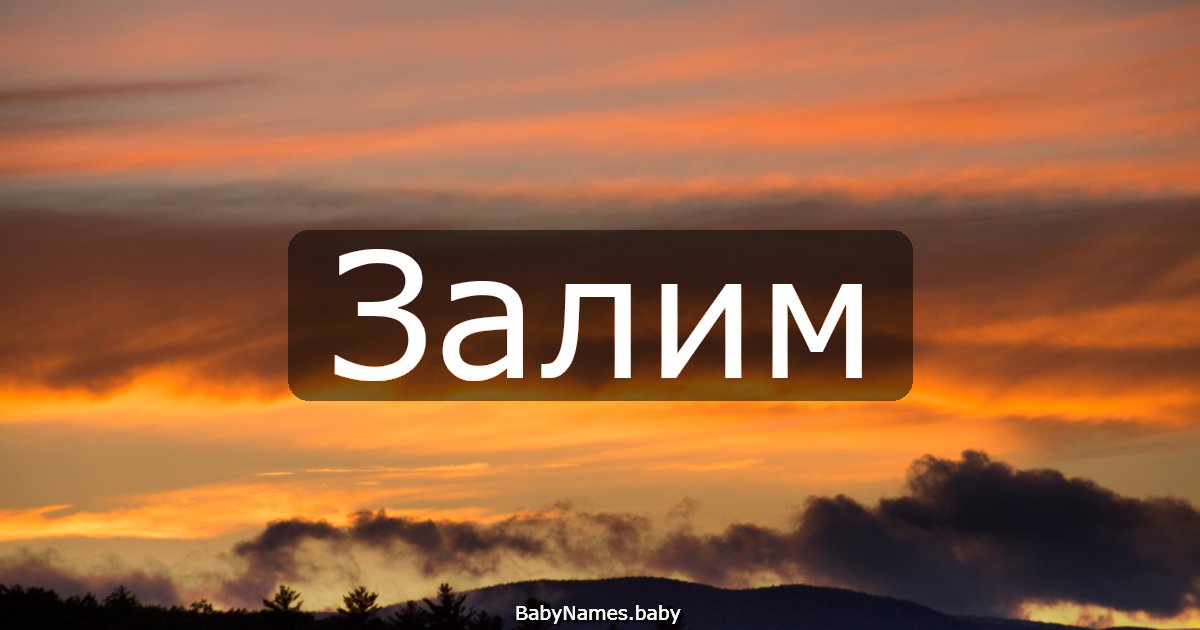 Залим
