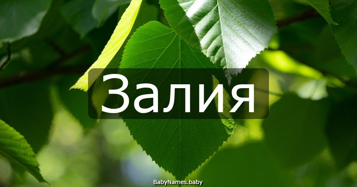 Залия