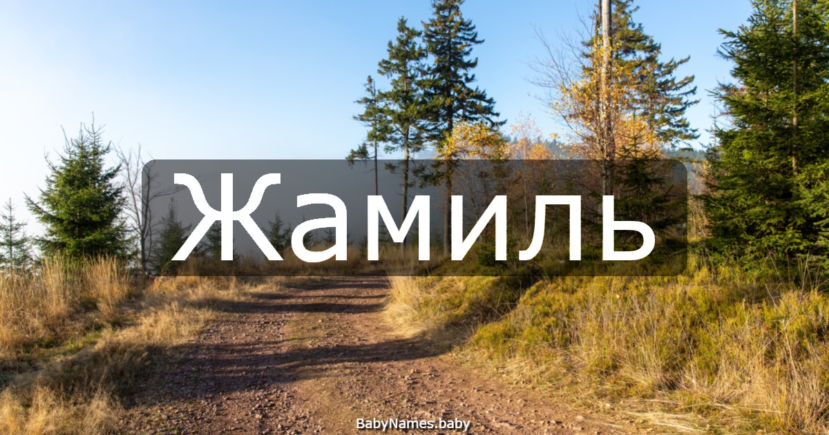 Жамиль