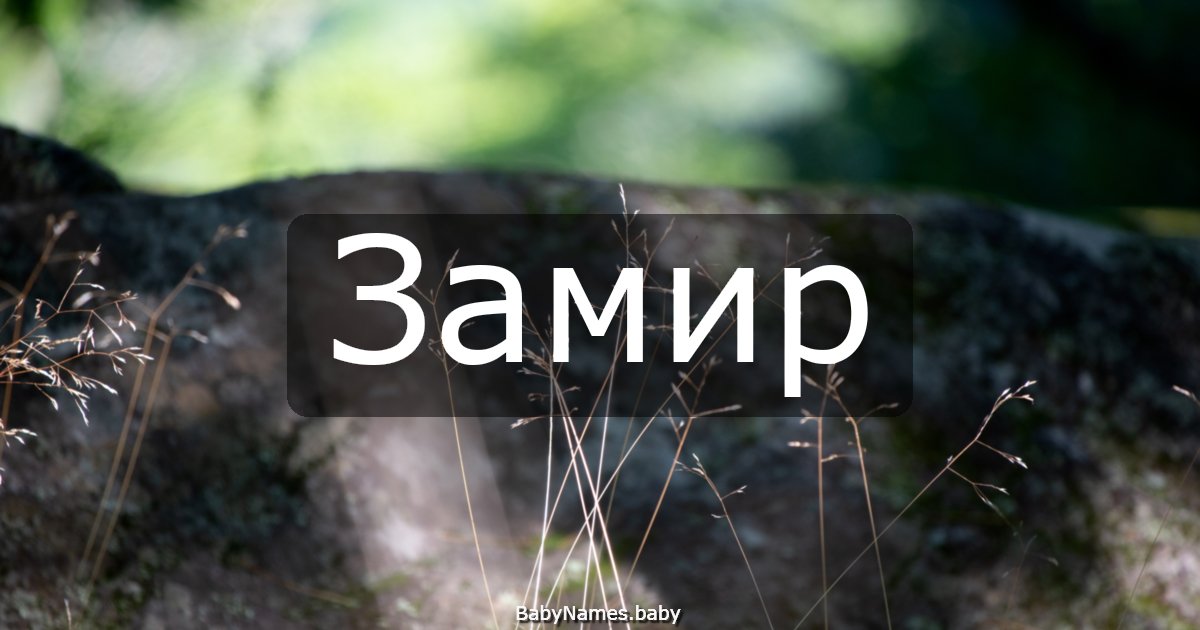Замир