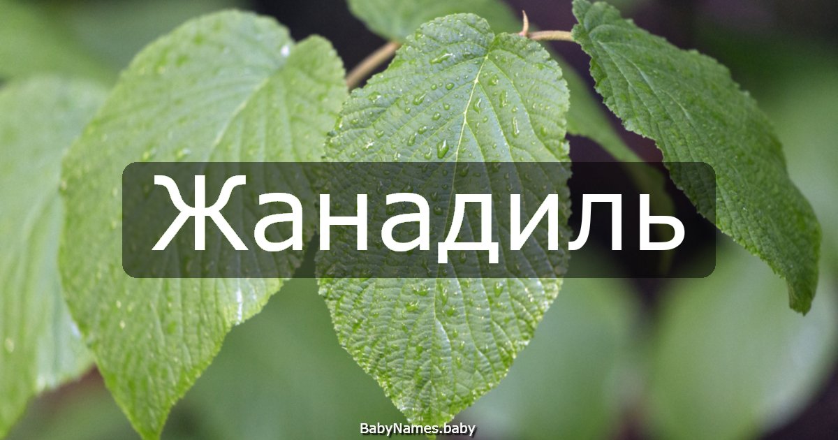 Жанадиль