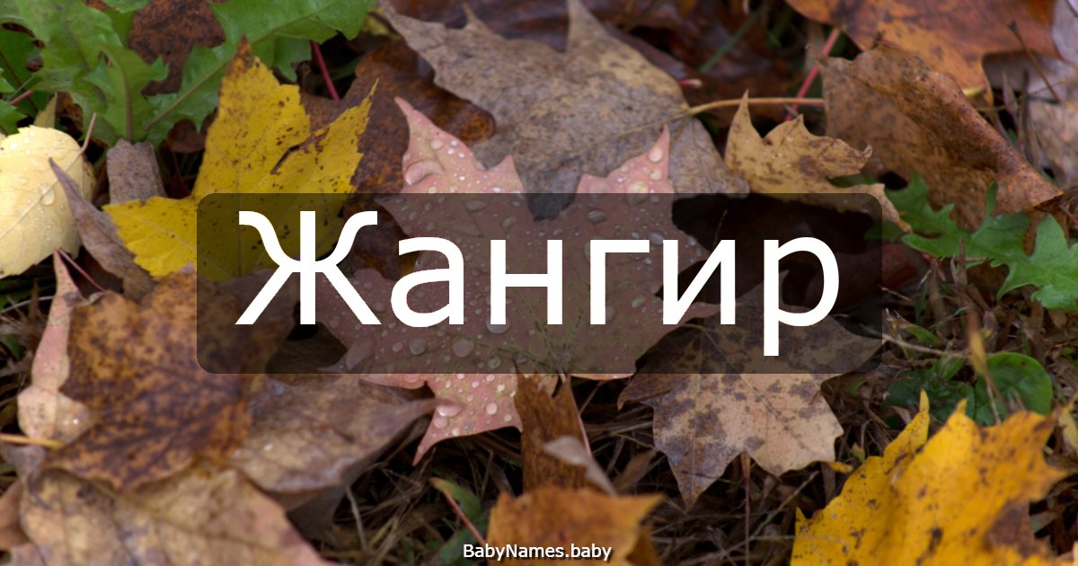 Жангир