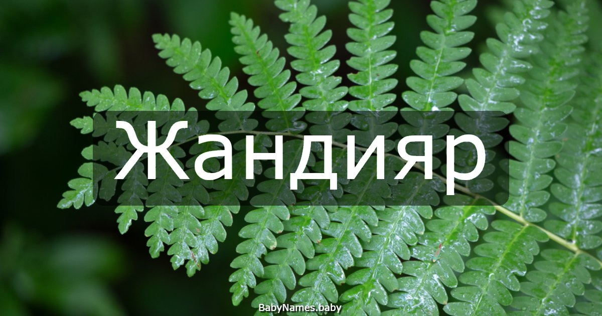 Жандияр