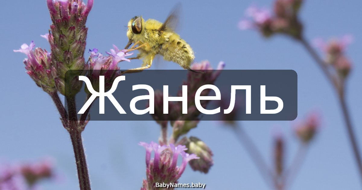 Жанель
