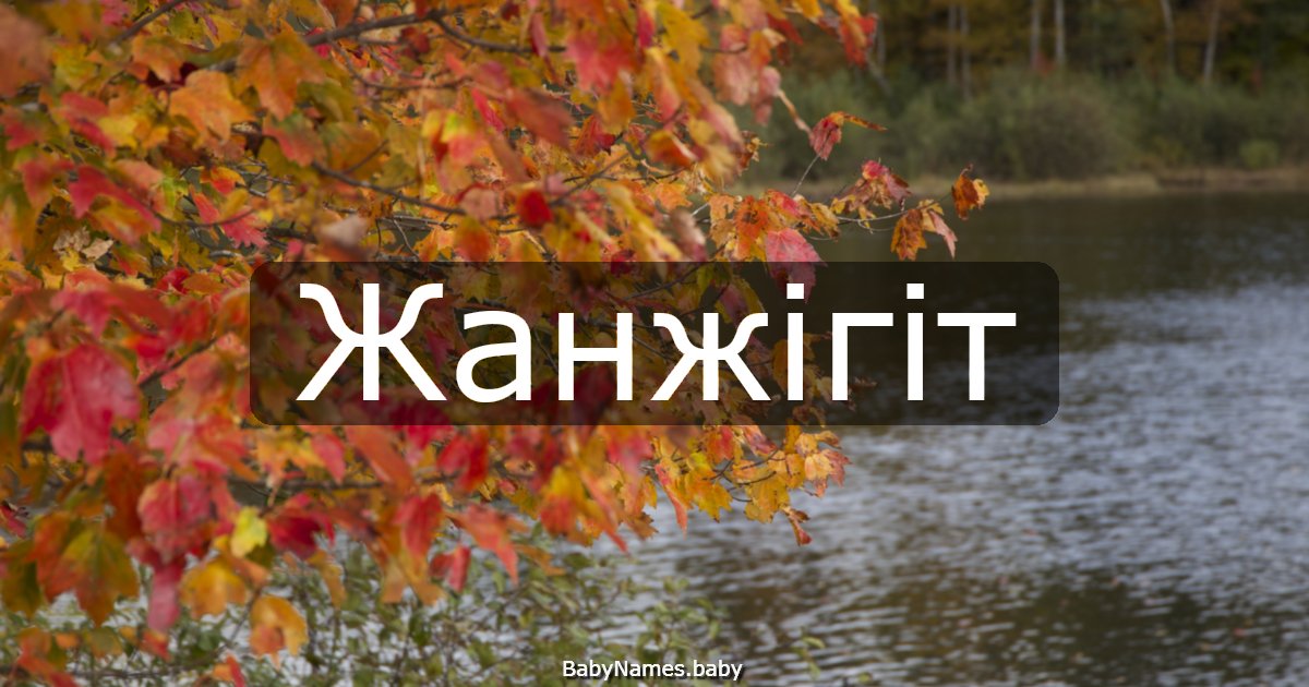 Жанжігіт