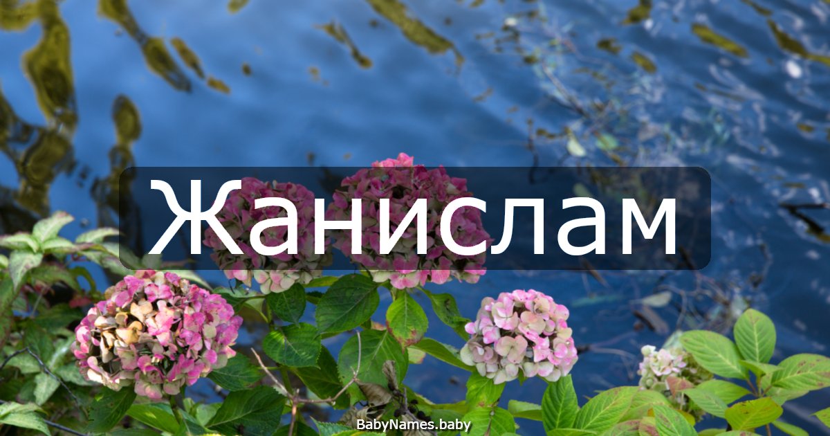 Жанислам