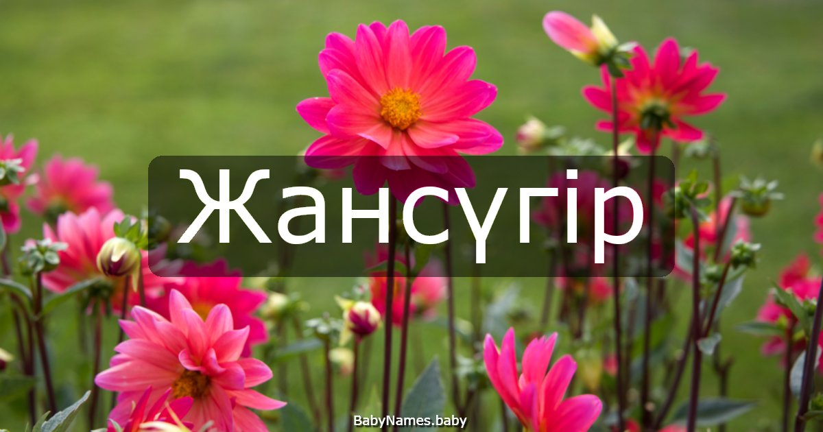 Жансүгір