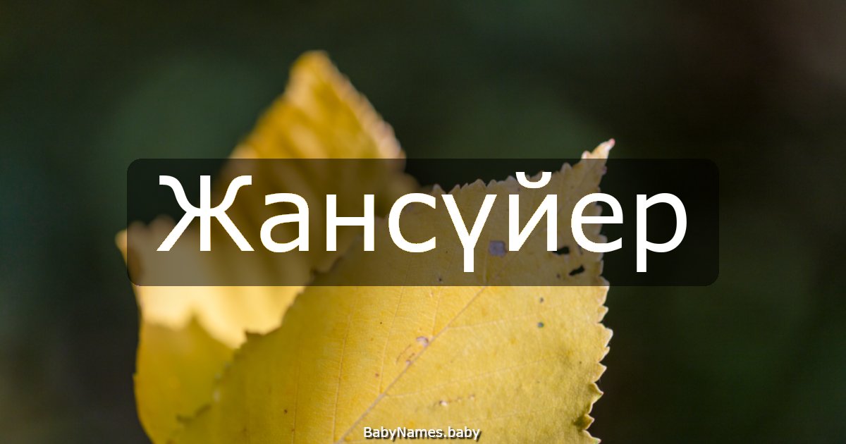 Жансүйер