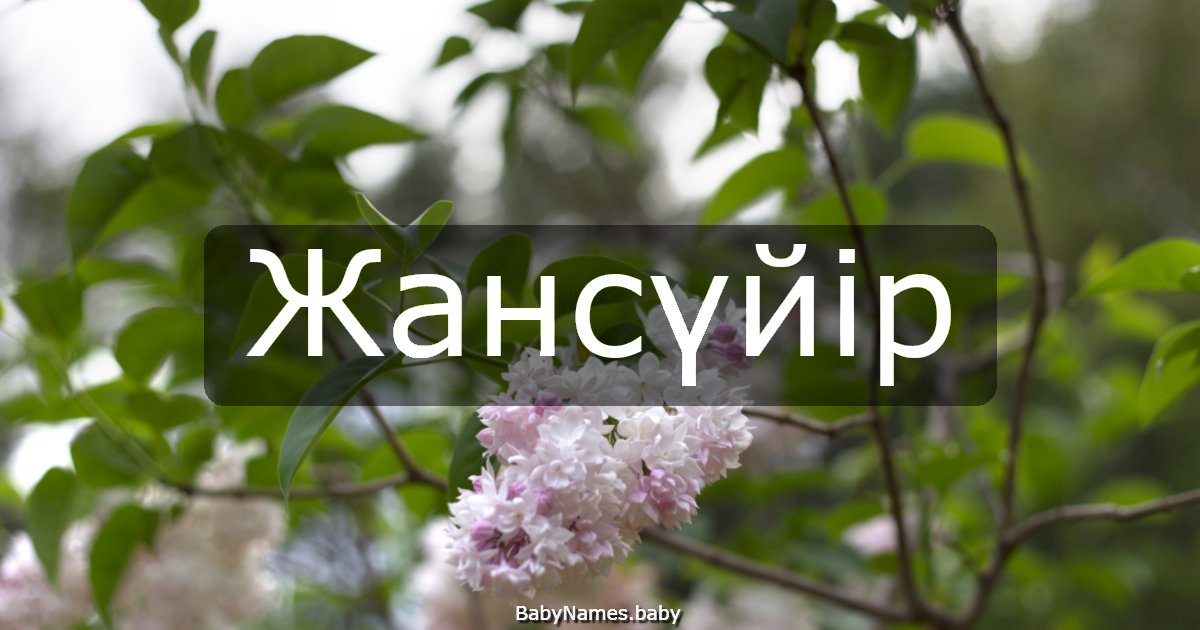 Жансүйір