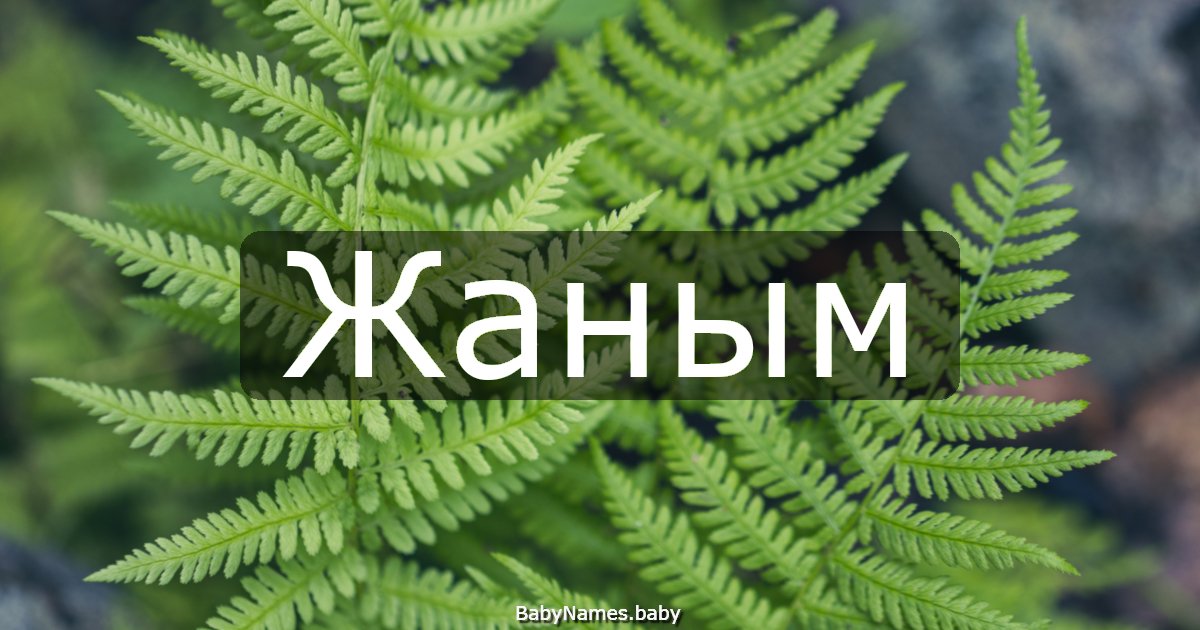 Жаным
