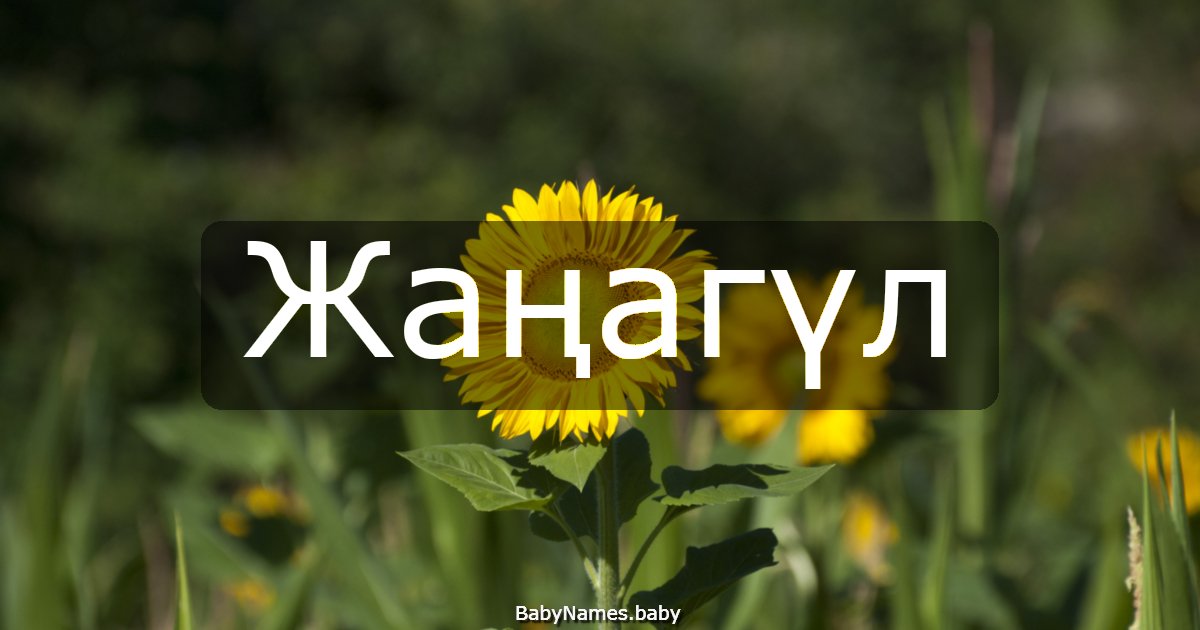 Жаңагүл
