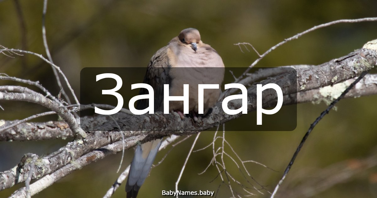 Зангар