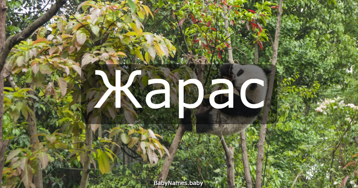 Жарас