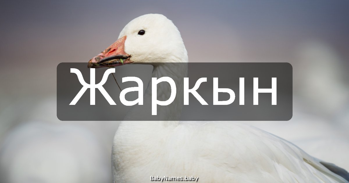 Жаркын