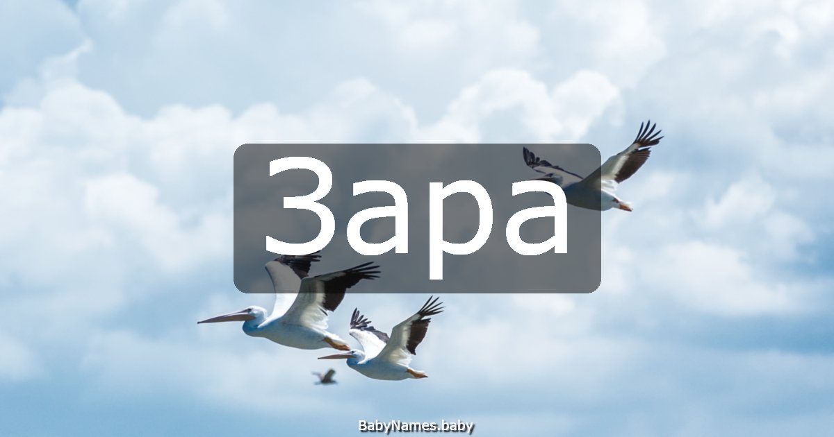 Зара