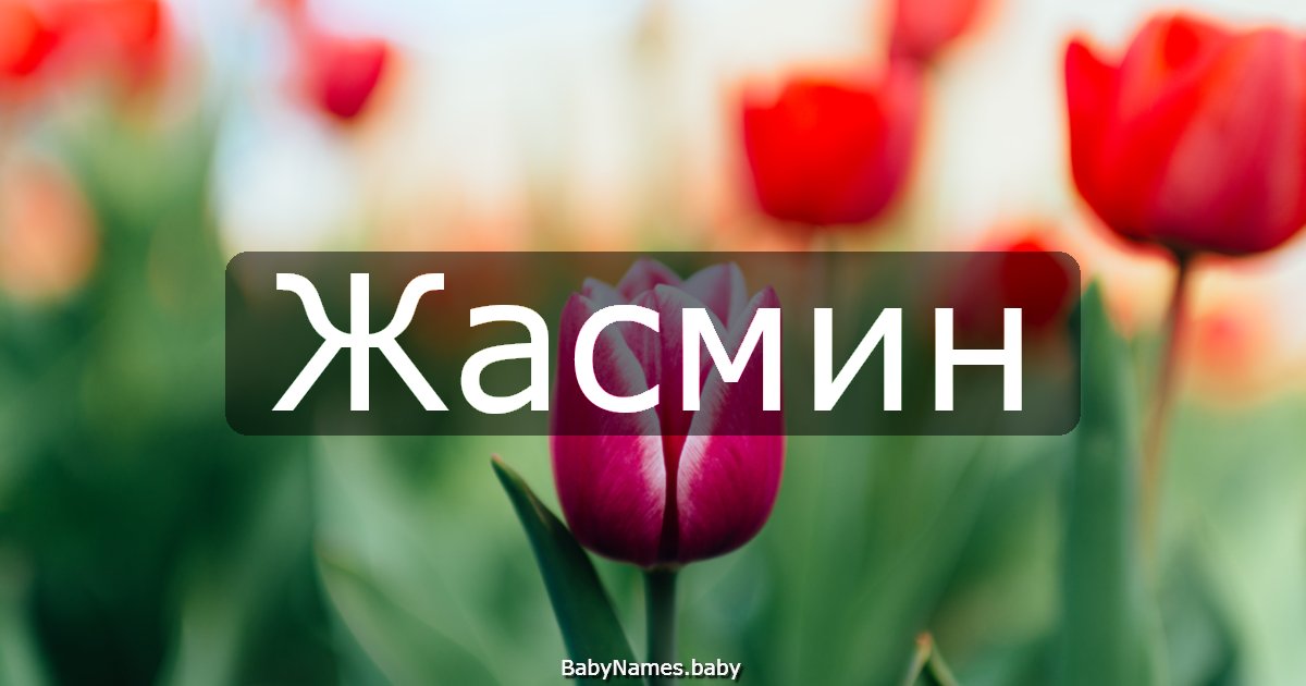 Жасмин
