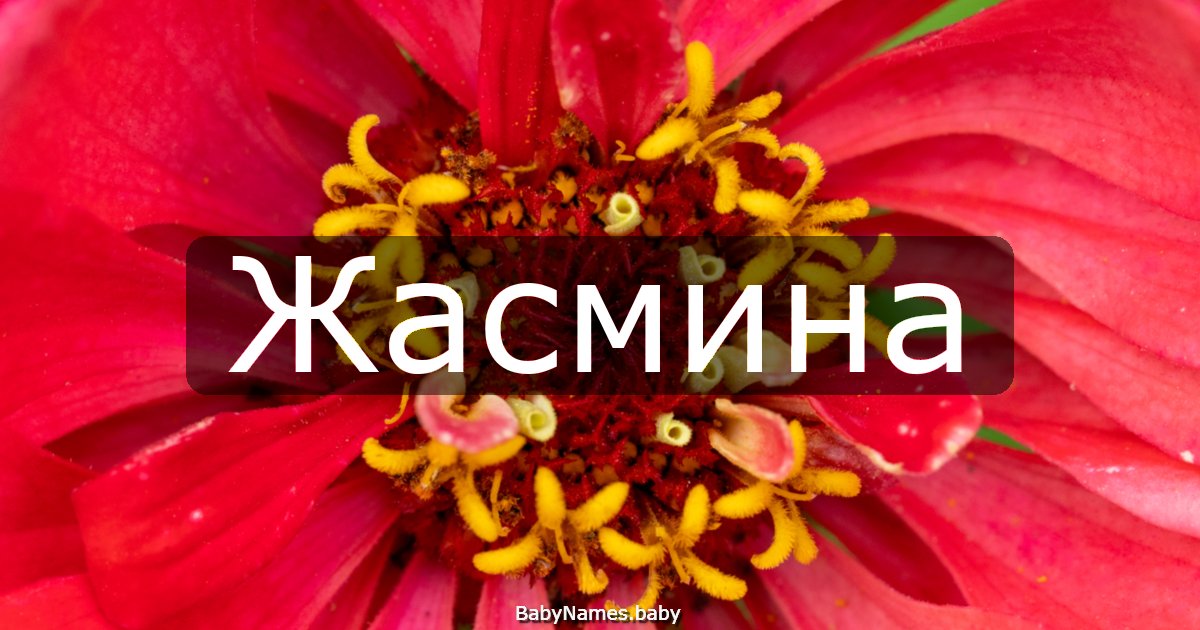 Жасмина