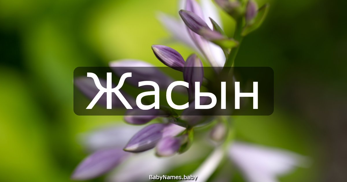 Жасын