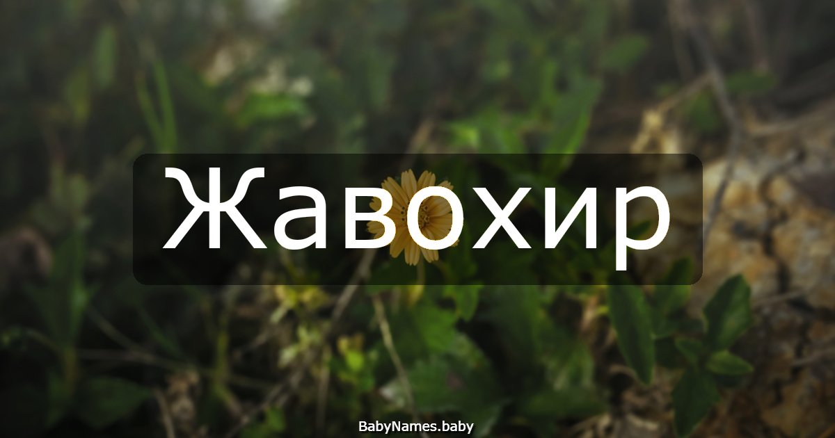 Жавохир