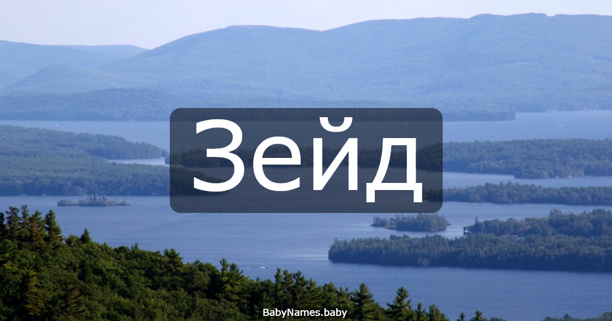 Зейд