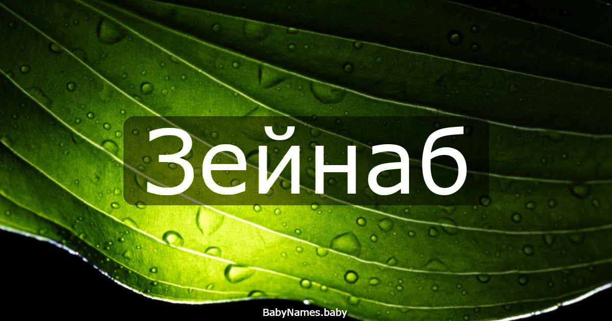 Зейнаб