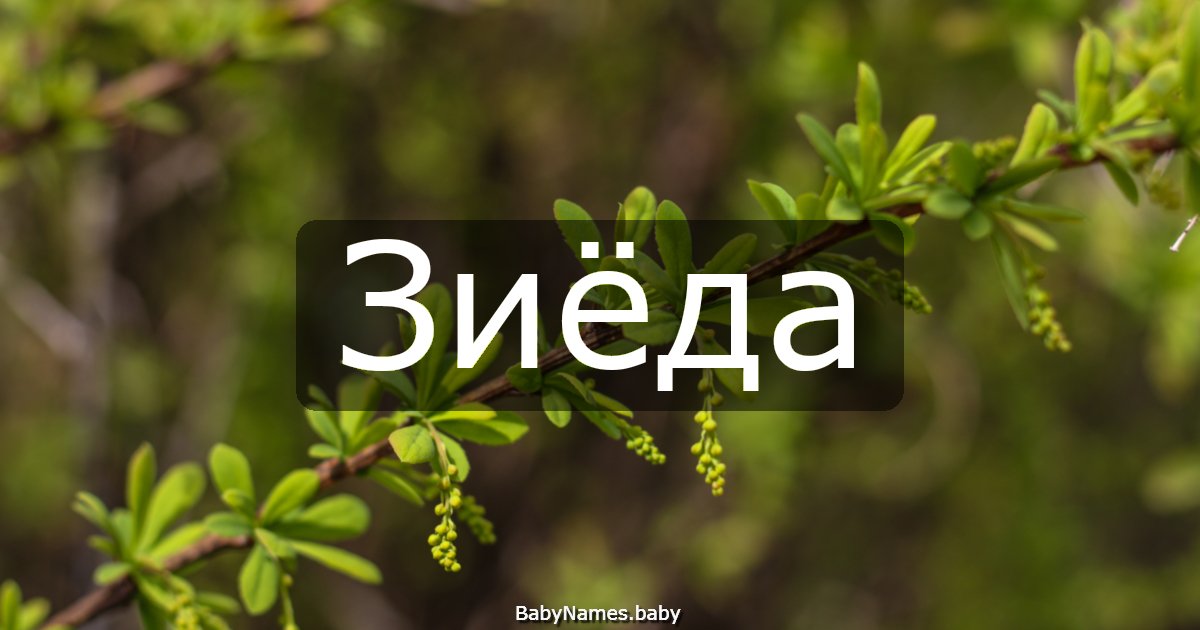 Зиёда