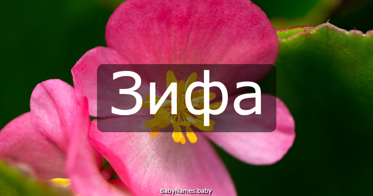 Зифа